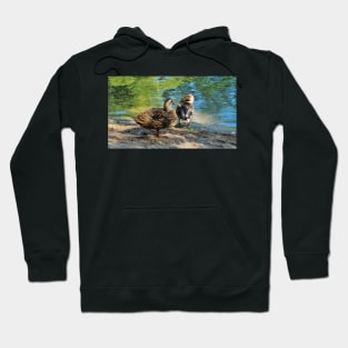 Mallard Ducks On The Beach Hoodie